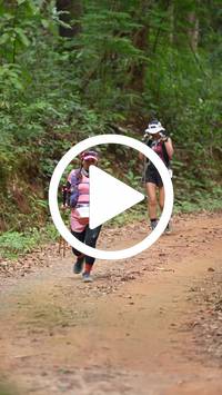 BIB:  <button type="button" onclick="openModal(26817726)" class="btn btn-primary btn-sm float-right" data-toggle="modal" data-target=".modal-high-quality">
                <i class="fa fa-download"></i> Download
                </button>